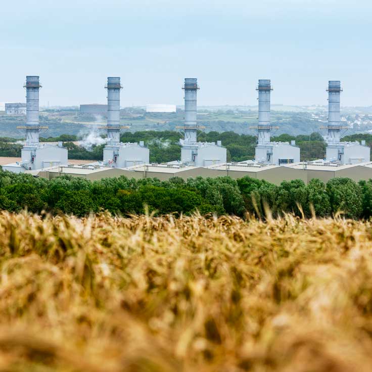 Industrial power plant with tall chimneys surrounded by greenery and a field under a cloudy sky.