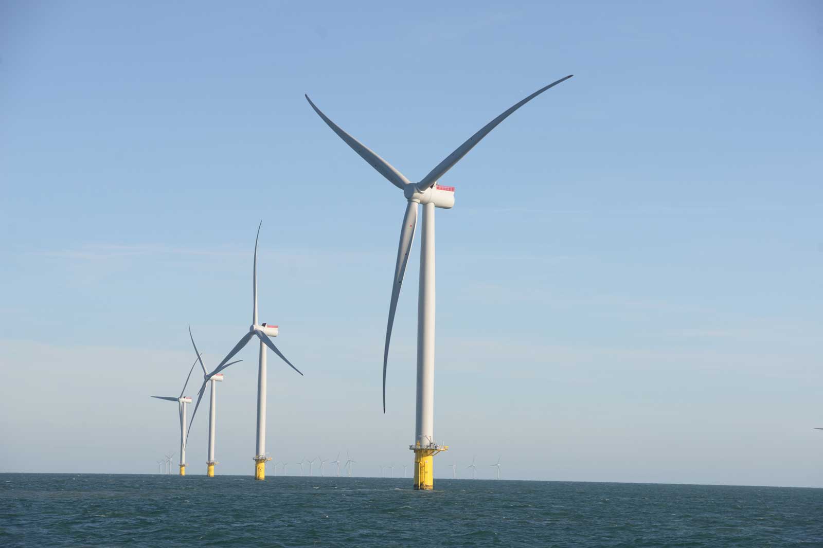 Five offshore wind turbines with yellow bases stand in blue waters under a clear sky. They generate renewable energy.