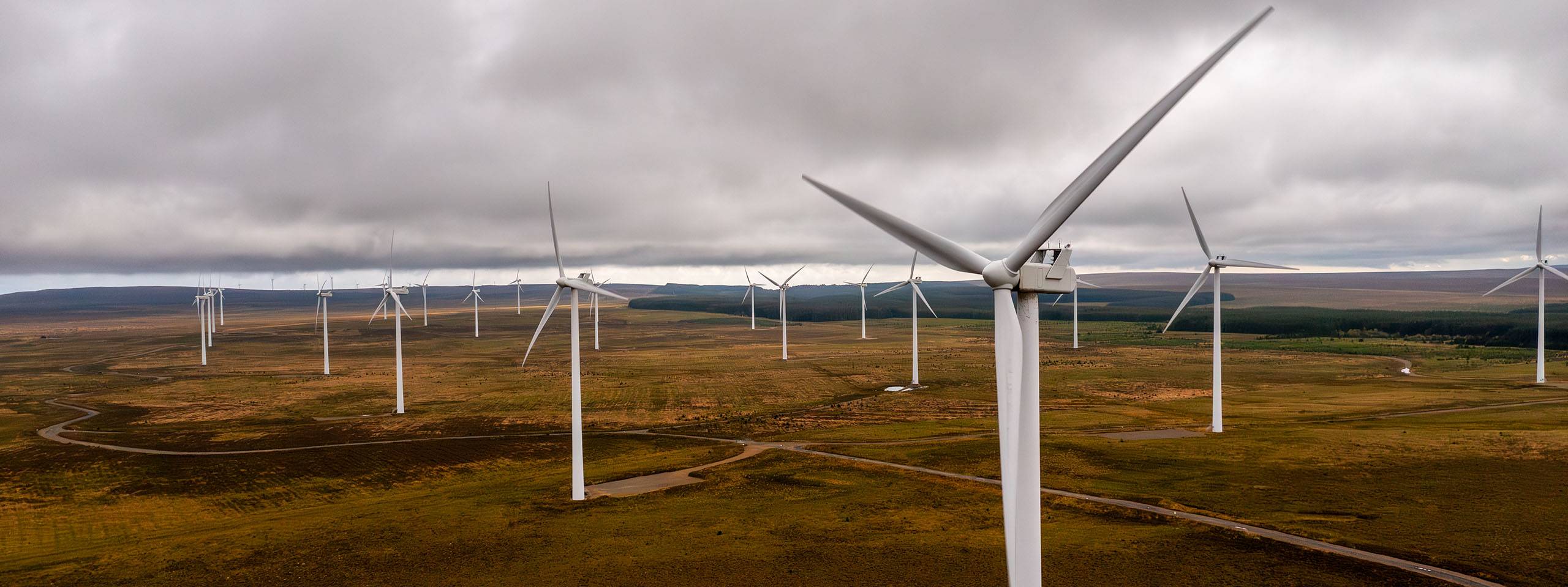 A close white turbine with metal tower fills the foreground while numerous turbines recede across green-brown moorland and winding dirt roads under a gray sky.