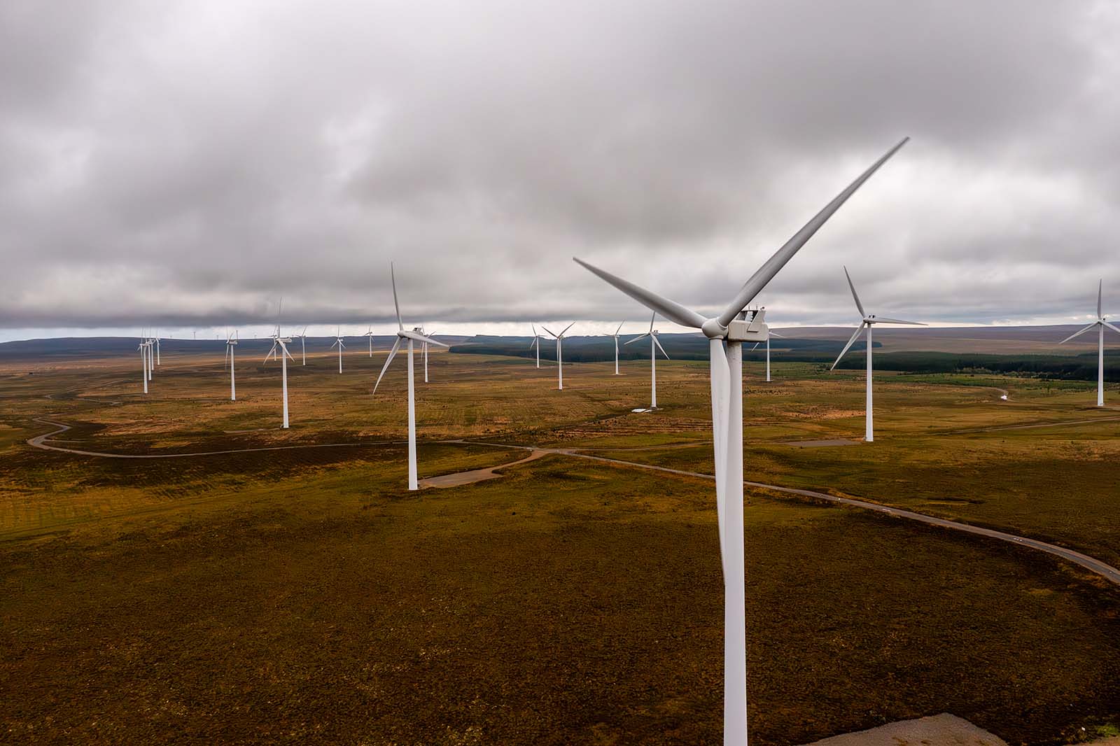 A close white turbine with metal tower fills the foreground while numerous turbines recede across green-brown moorland and winding dirt roads under a gray sky.