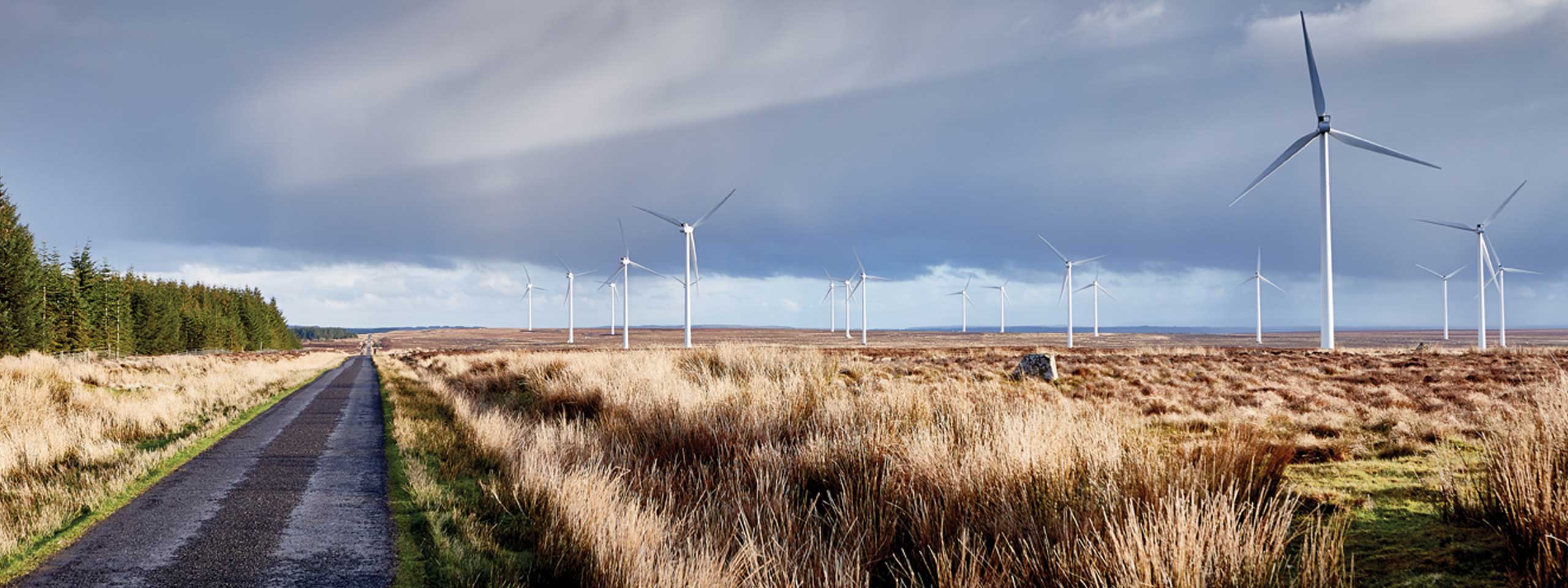 A scenic landscape featuring wind turbines on a vast field with a road bordered by grass and sparse trees under a cloudy sky.