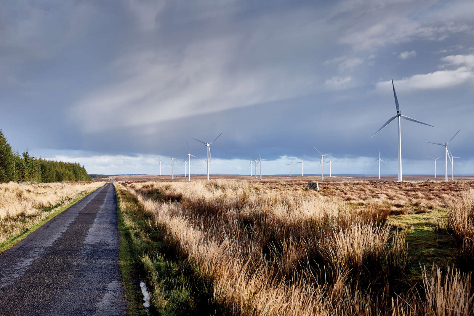 A winding road through a grassy landscape, with multiple wind turbines in the background under a cloudy sky.