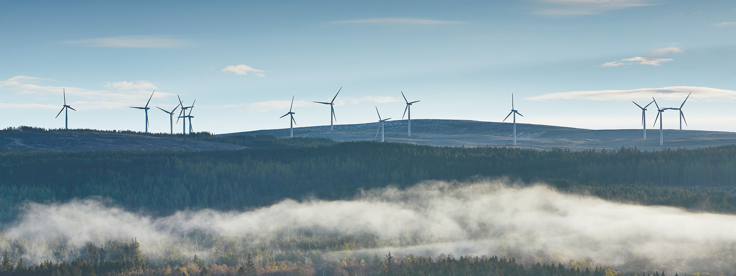A panoramic view of wind turbines atop a hill, surrounded by dense forests and misty low clouds.