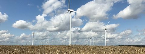 A vast field of wheat with several wind turbines against a partly cloudy sky.