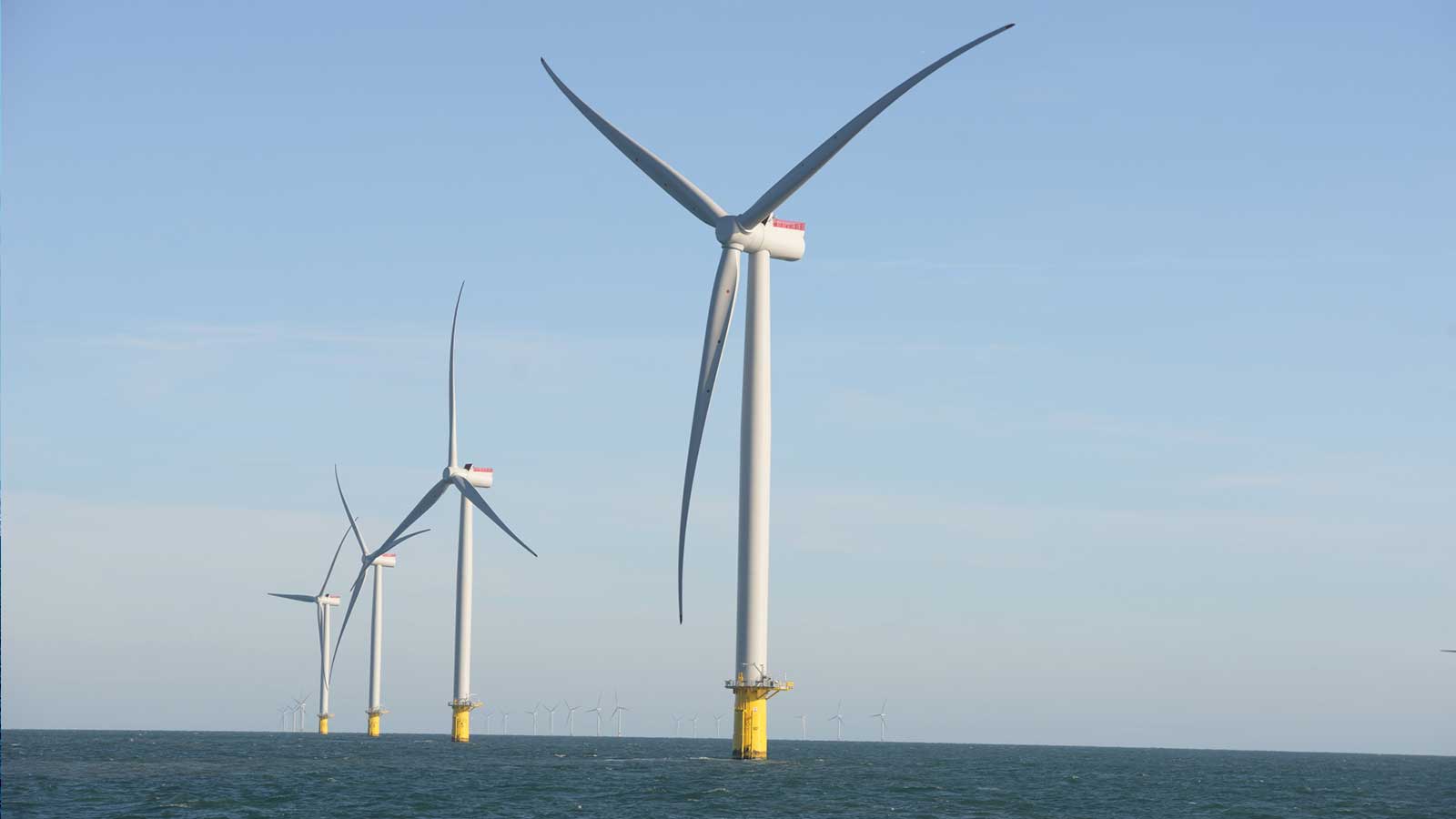 A row of offshore wind turbines stands in the sea against a clear blue sky.