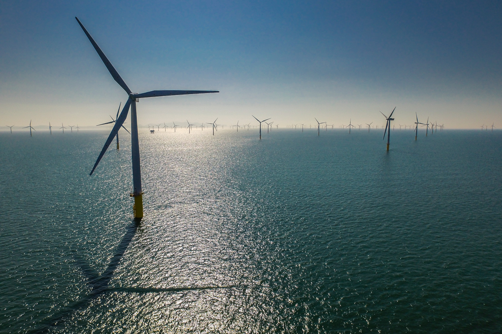 A panoramic view of numerous wind turbines in the sea, reflecting sunlight on the water surface under a clear blue sky.