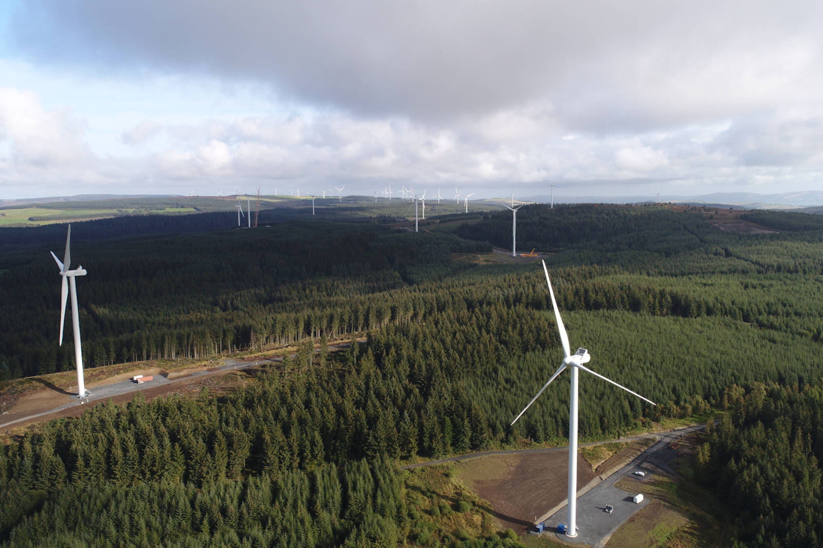 Aerial view of a wind farm with numerous turbines set amidst dense forest and cloudy skies.