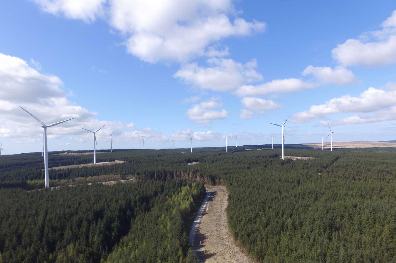 A panoramic view of wind turbines in a lush forested area under a blue sky with scattered clouds.