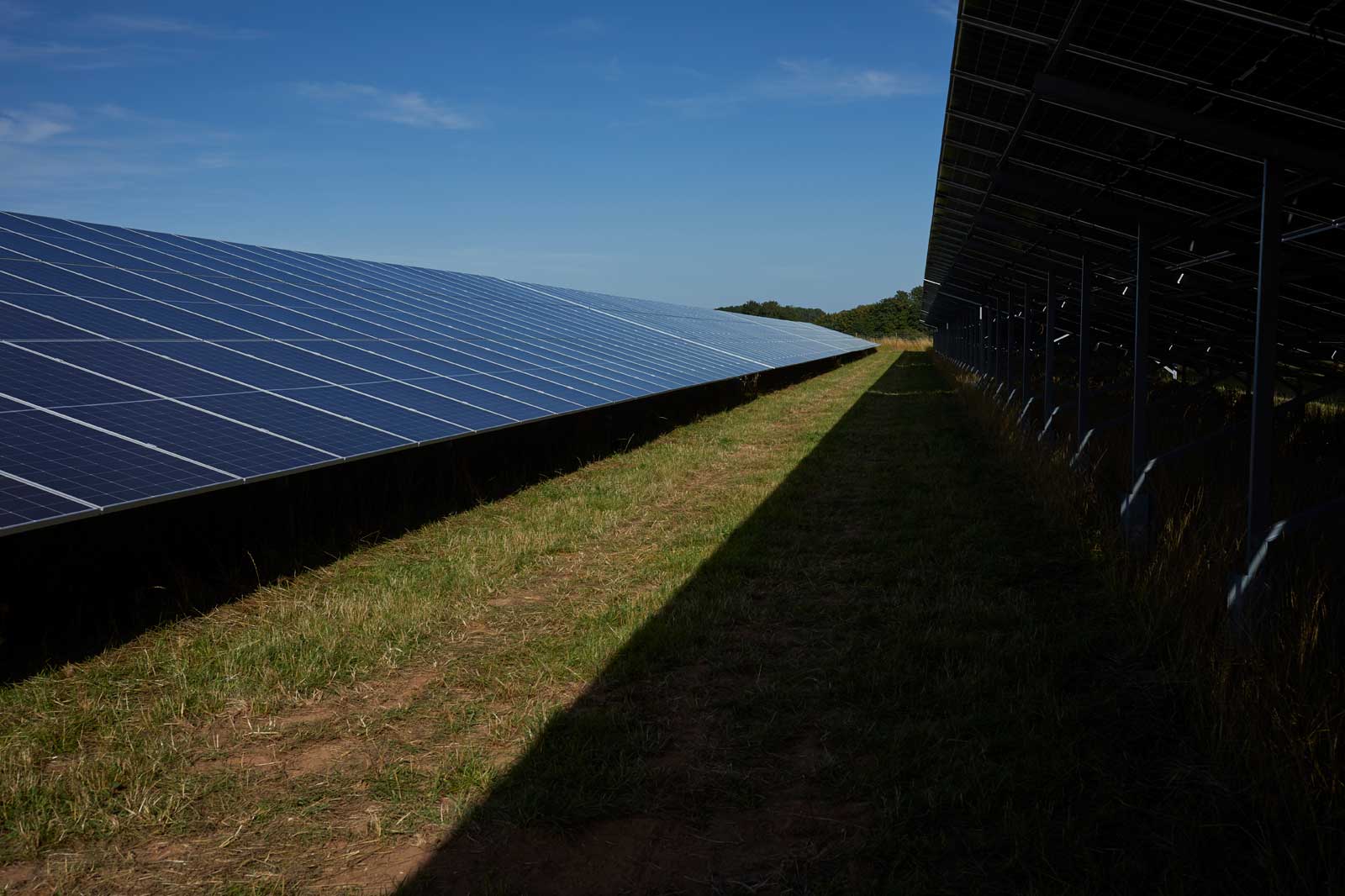 A view of solar panels aligned on the left with a grassy pathway in between, beneath a clear blue sky.