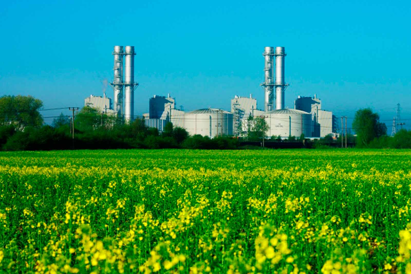 RWE Image
