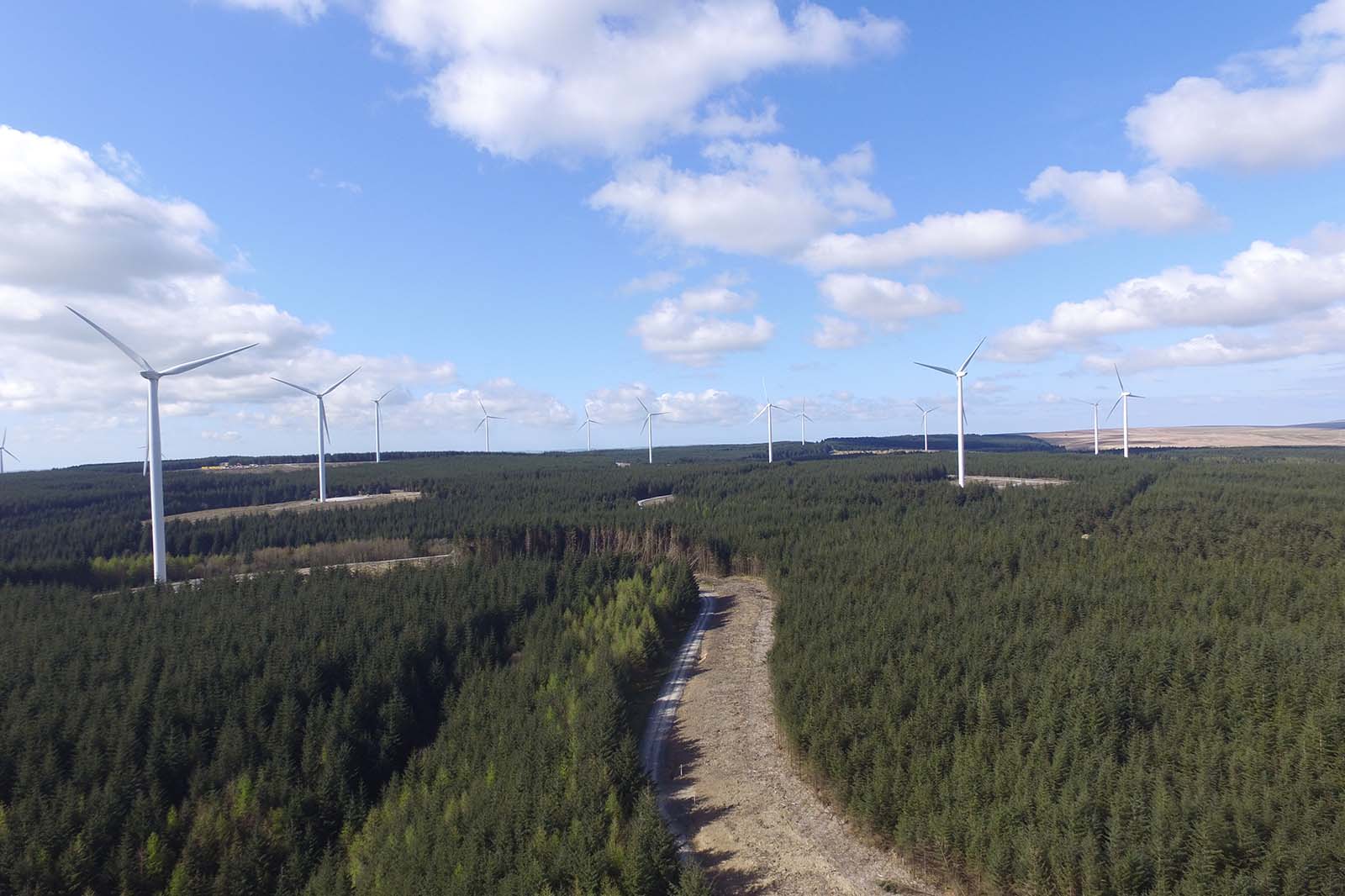 Aerial view of a forest with multiple wind turbines under a blue sky with scattered clouds.