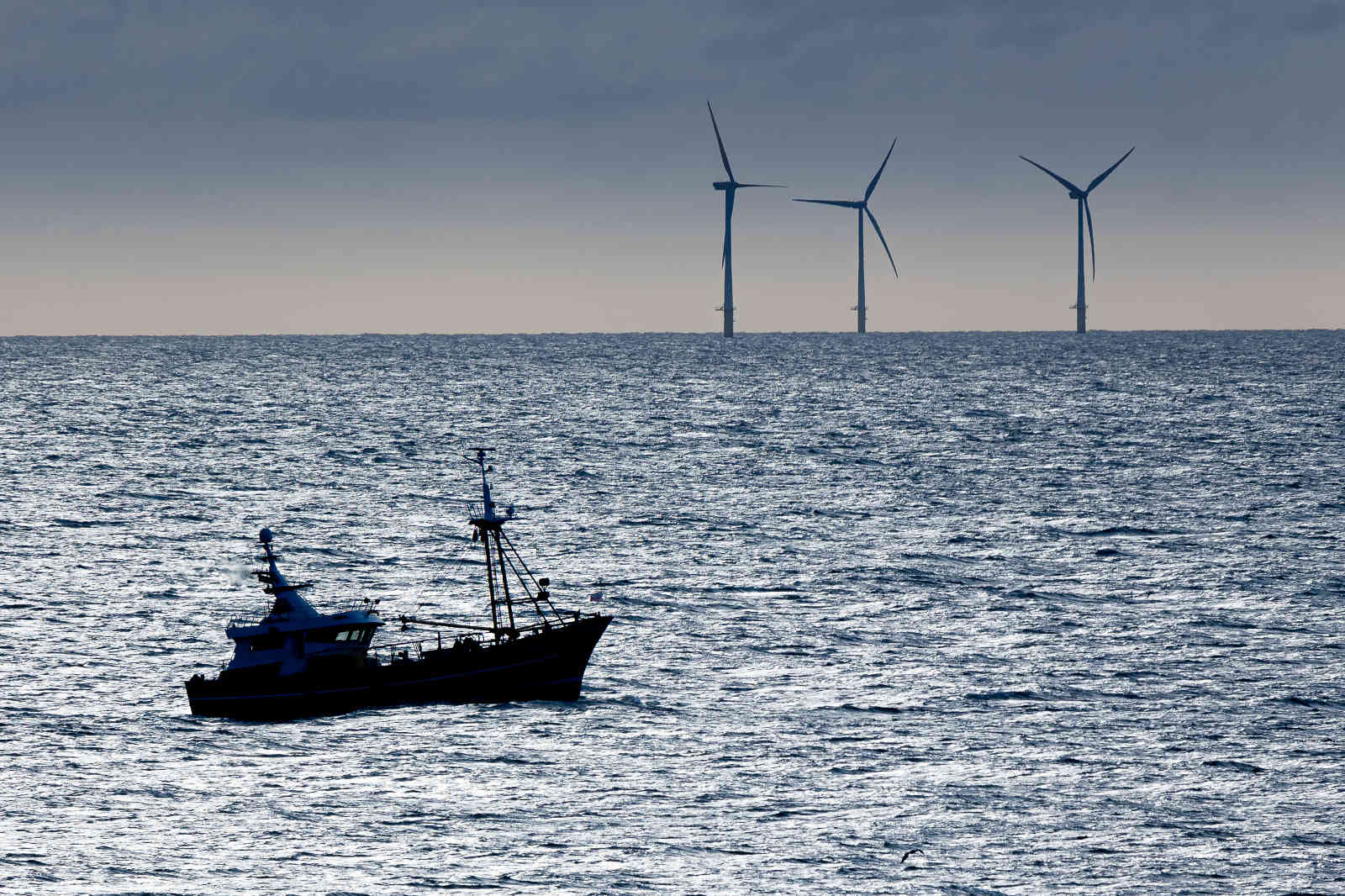 A silhouetted fishing trawler crosses a glinting silver-blue sea with three offshore wind turbines on the horizon and a small bird near the water.