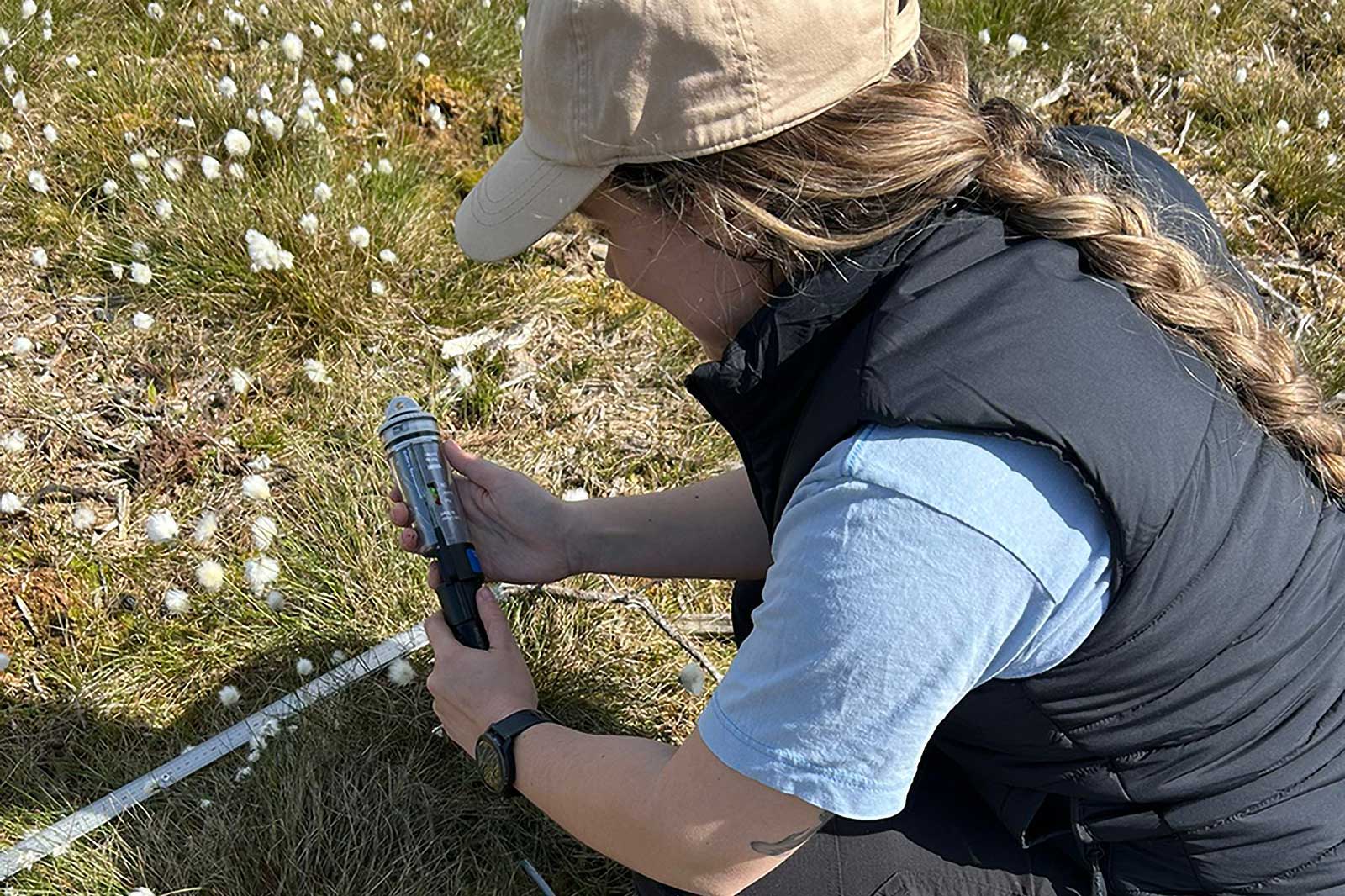 Kneeling person among white cottony flowers, wearing a beige cap, black vest and blue shirt, holding a small cylindrical device beside a white tape.