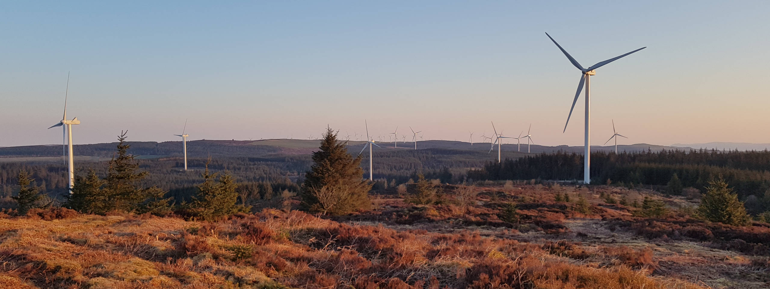 A landscape featuring multiple wind turbines across rolling hills, surrounded by patches of grass and trees under a clear sky.