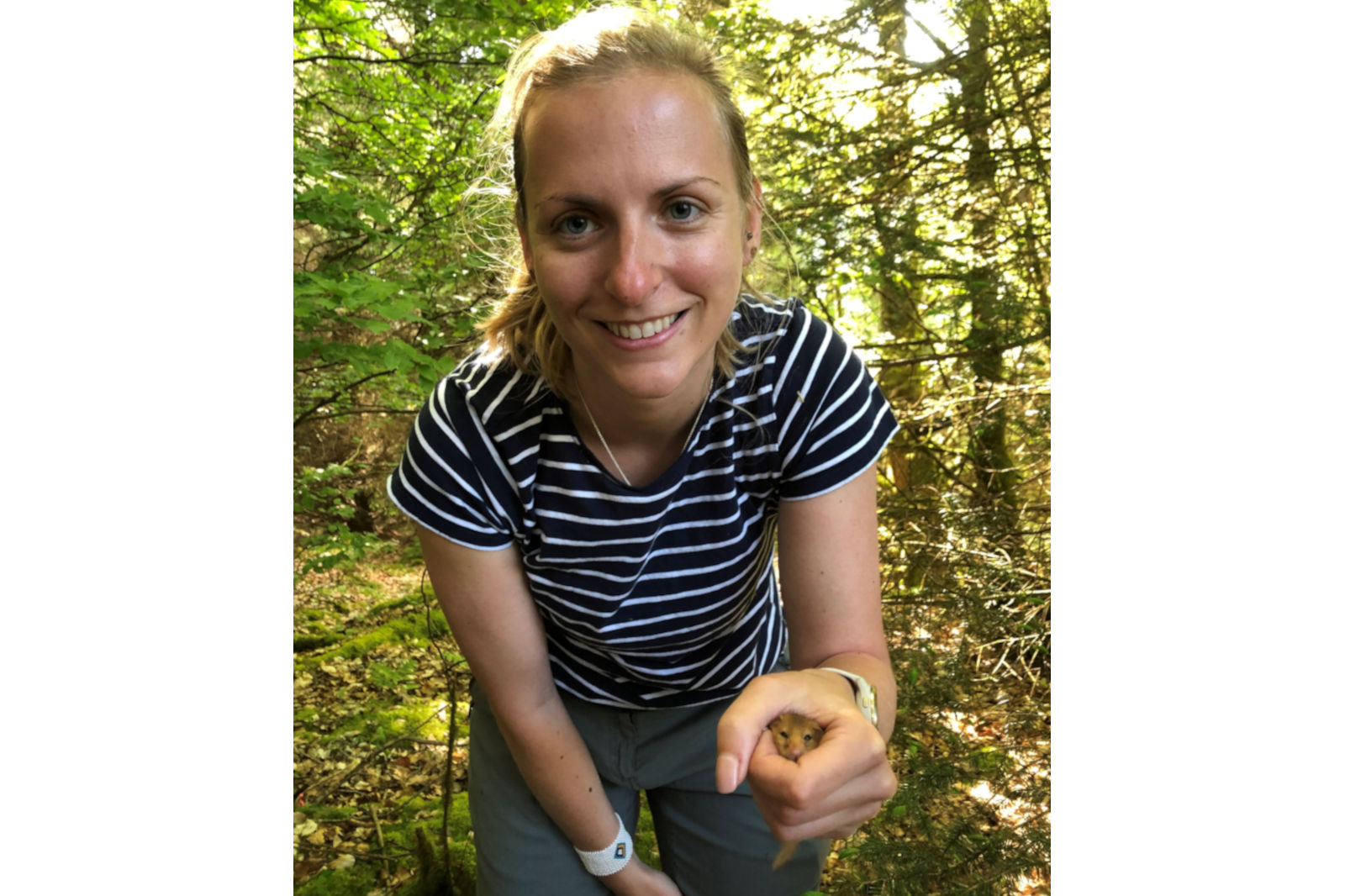 A person in a striped shirt holds a small animal in a forest, surrounded by greenery and sunlight filtering through the trees.