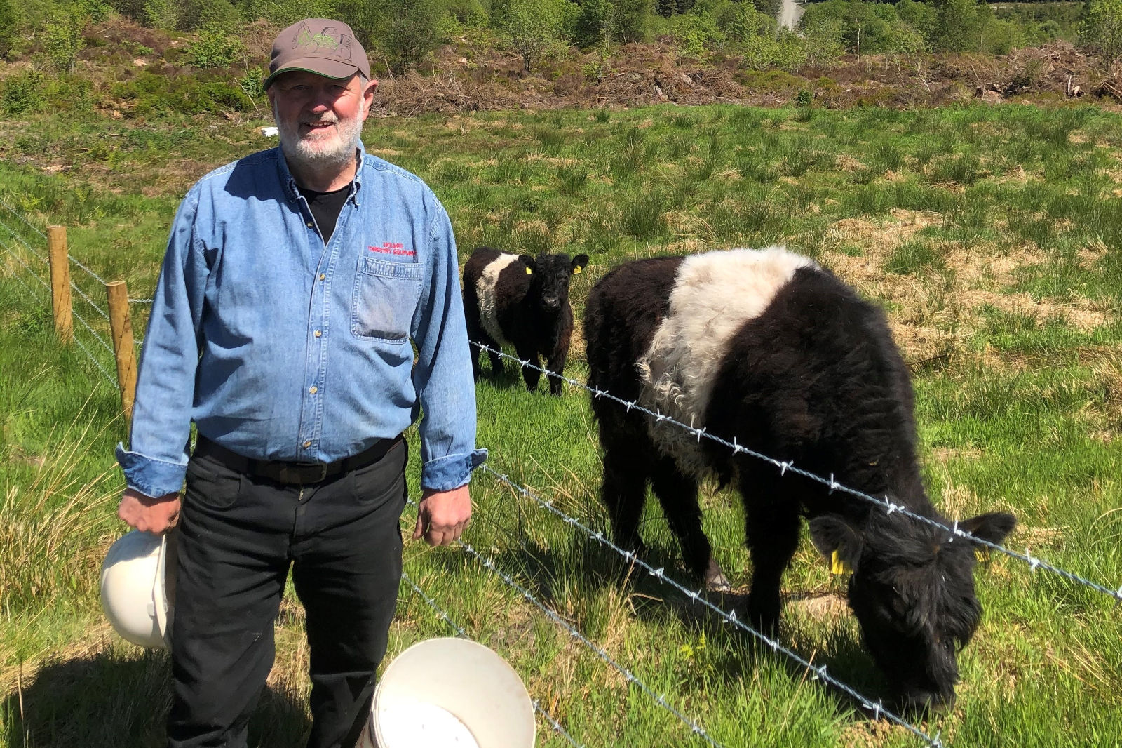 A person stands in a field, holding buckets, with black and white cows grazing nearby, surrounded by green grass and trees.