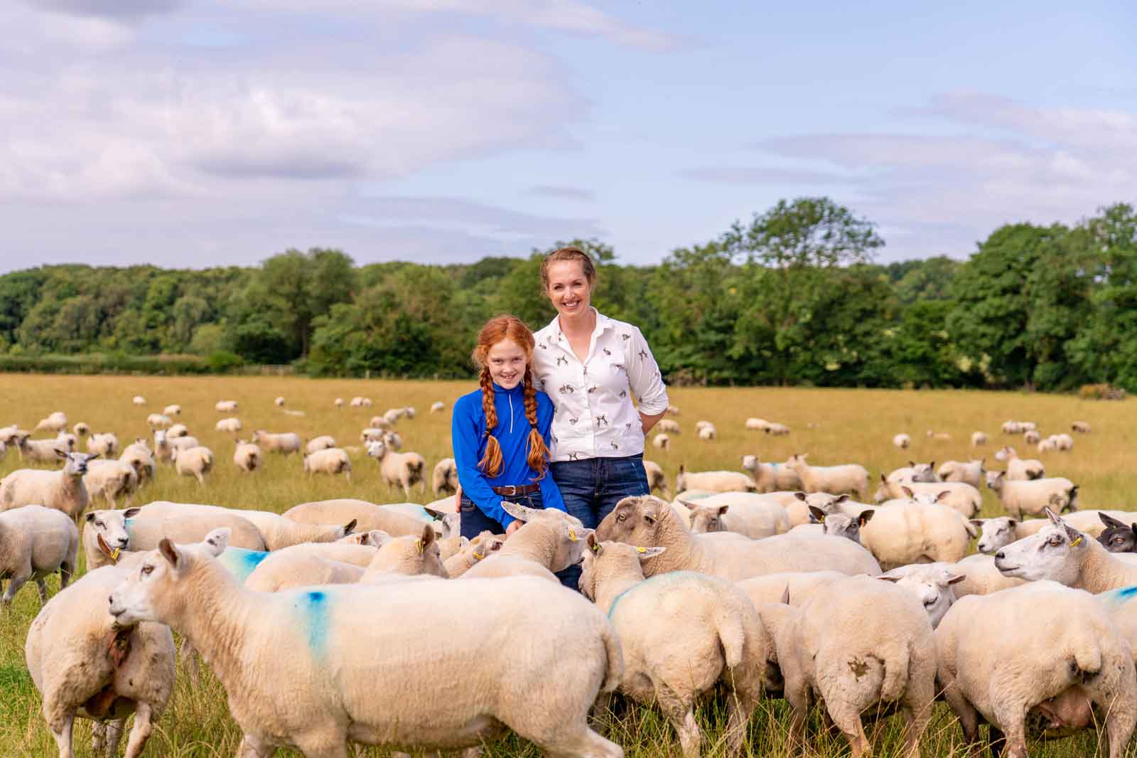 Two individuals stand in a grassy field surrounded by sheep. The landscape includes trees and blue skies.