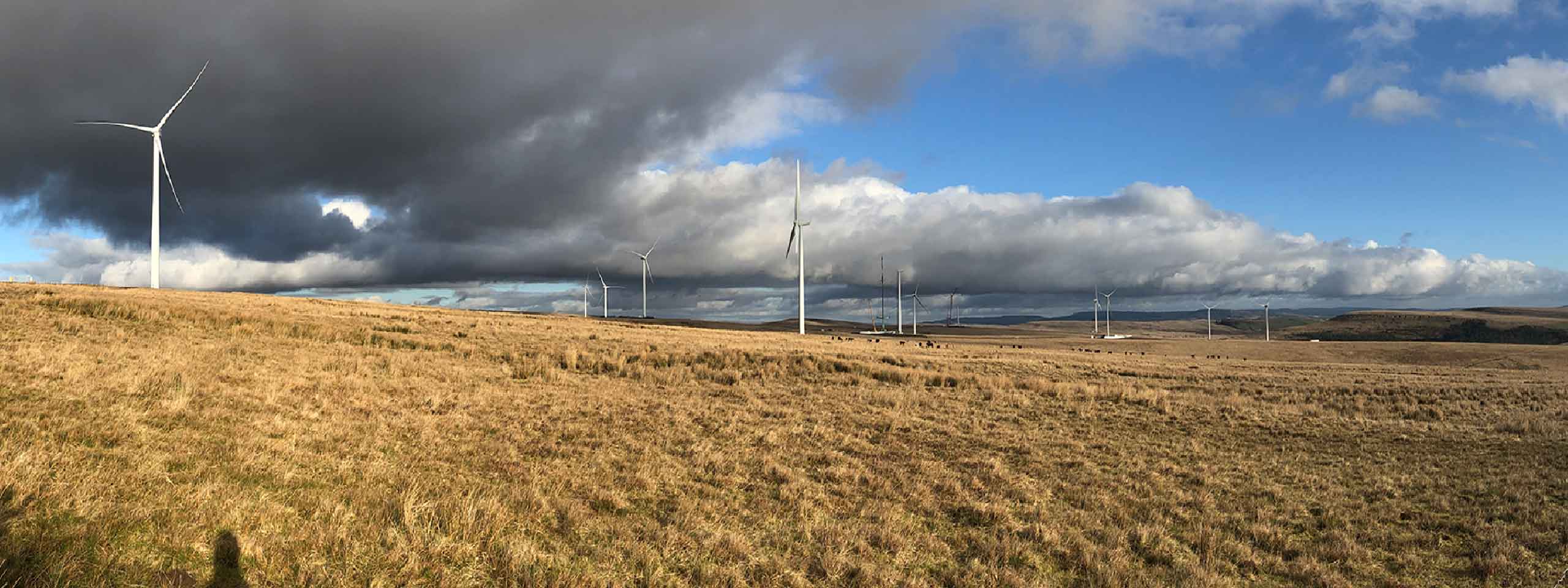 A panoramic view of wind turbines on a grassy hillside under a cloudy sky.