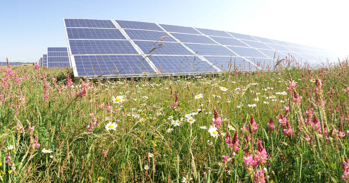Blackberry Solar Farm