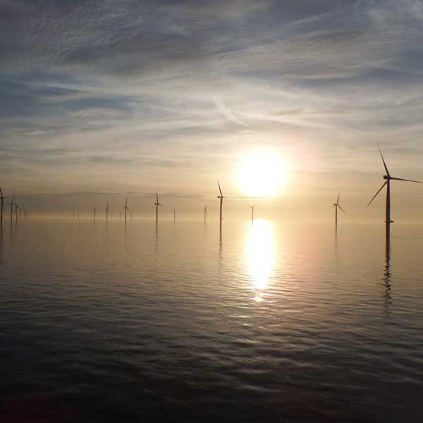 A serene sunrise over calm waters, with numerous wind turbines silhouetted against the sky.