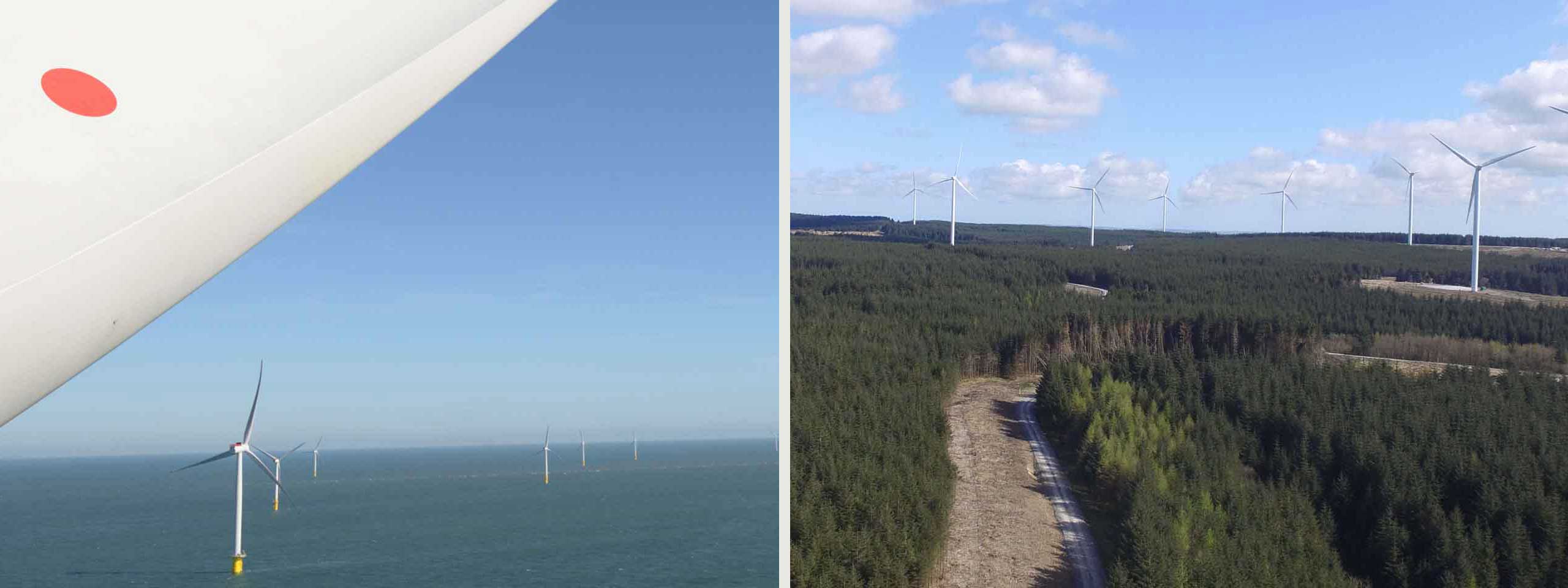 A view of offshore wind turbines in the sea on the left and onshore wind turbines among trees on the right.