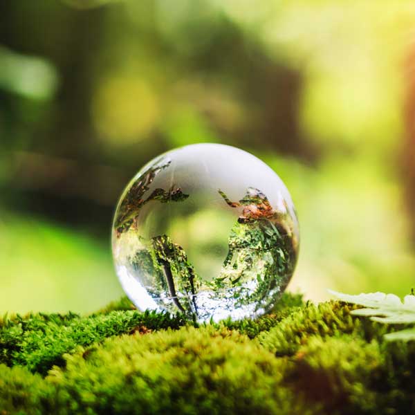 A crystal sphere resting on moss, reflecting trees and greenery in a soft, natural light.