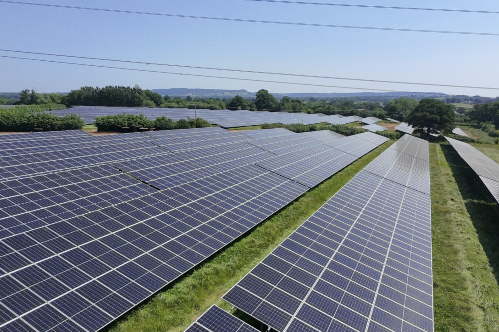 An expansive solar farm with numerous solar panels arranged in rows under a clear blue sky.