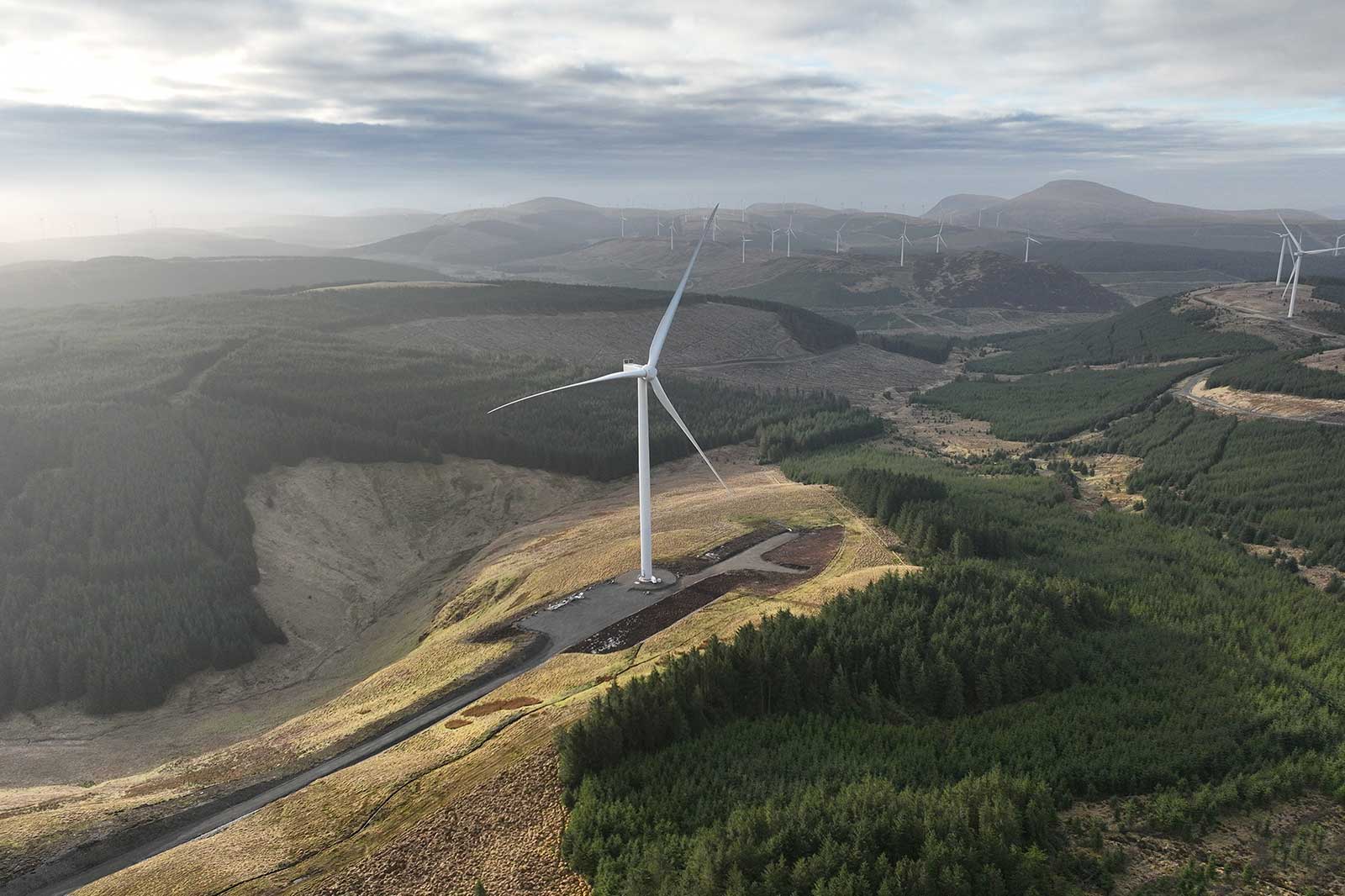 A white wind turbine stands on a brown ridge beside a gravel road, with dark green forests and distant turbines under a cloudy gray sky.